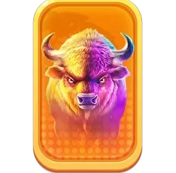 Buffalo
King